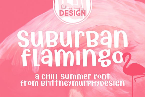 Suburban Flamingo: The Quirky Display Font Redefining Modern Typography